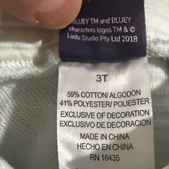 Bluey Pale Blue Character Shorts - Picture 3 of 4